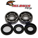 Balls Crank Bearing And Seal Kit For 1974-1975 Yamaha TY80 Engine. Fixed Price $54.18.