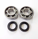 KDX200 Crank Bearings & Seals Kit 98 99 01 02 03 04 05 06. Fixed Price $41.89.