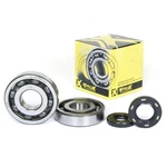 Pro X Crankshaft Bearing And Seal Kit 23.CBS43003. Fixed Price $130.99.
