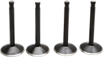 Kibblewhite 20-22500 Engine Valve Kit. Fixed Price $117.85.