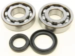 Balls 24-1038 Crank Bearing Kit. Fixed Price $129.70.