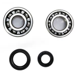 Pro X Crank Bearing And Seal Kit - 23.CBS32087. Fixed Price $41.99.