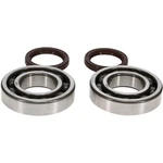 Pro X Crankshaft Bearing And Seal Kit 23.CBS60001. Fixed Price $35.95.