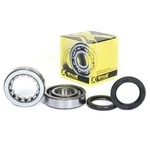 Crankshaft Bearing & Seal Kit, Prox 23.CBS14002 CRF450 02-05. Fixed Price $158.49.