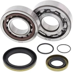 Balls Crank Shaft Bearing Kit 24-1115CL77. Fixed Price $87.91.