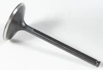 Kpmi 60-60712 Black Diamond Intake Valve. Fixed Price $45.82.