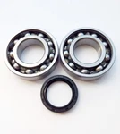 KX250F Main Crank Bearings And Seal Kit 11 12 13 14 15 16 17 18. Fixed Price $34.00.