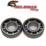 Balls Crank Bearing And Seal Kit For 1981-1982 Honda XR250R Engine Zd. Fixed Price $74.34.
