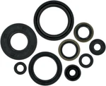 Moose Racing Replacement Oil Seal Set For Kawasaki Kx 125 1998-2005 0934-0162. Fixed Price $33.29.