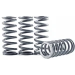 Hinson Hi-temp Clutch Spring Kit. Fixed Price $51.74.
