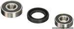 Pivot Works Rear Wheel Bearings PWRWK-Y40-230 2011-2017 Yamaha TTR230 New. Fixed Price $69.88.