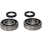 Pro X Crankshaft Bearing And Seal Kit 23.CBS43051. Fixed Price $89.99.