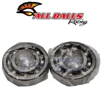Balls Crank Bearing And Seal Kit For 1979-1985 Honda XL125S Engine Lg. Fixed Price $71.50.