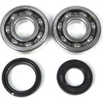 Pro X Crankshaft Bearing And Seal Kit 23.CBS22098. Fixed Price $65.59.