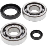 Balls Crank Shaft Bearing Kit 24-1004. Fixed Price $89.48.