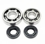 KX125 Main Crank Shaft Bearings & Seals 85 86 87. Fixed Price $44.89.