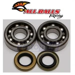 Balls Bearing And Seal Kit For 2008 Ktm 65 Xc - Engine Crankcase Yy. Fixed Price $69.43.