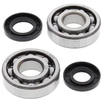 Balls Crank Shaft Bearing Kit 24-1009. Fixed Price $95.12.