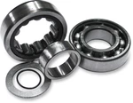 Feuling Outer Bearing Kit For Harley 1999-06 Twin Chain Drive Cams 2078. Fixed Price $69.95.