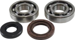 Vintco KMB022 Main Bearing And Seal Kit Suzuki RM400 PE400. Fixed Price $43.68.