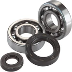Moose Racing Crank Bearing And Seal Kit A24-1010. Fixed Price $85.95.
