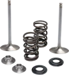 Kibblewhite Engine Valve Kit 40-41650. Fixed Price $163.56.