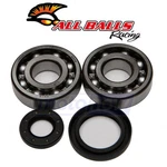 Balls Crank Bearing And Seal Kit For 1989-1993 Suzuki RM250 Engine Gw. Fixed Price $96.03.