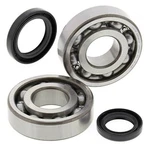 Balls Crankshaft Bearings LT500R Quadracer Quadzilla 87-90 24-1038 New. Fixed Price $129.70.