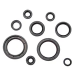 Tusk Engine Oil Seal Kit For Honda CRF250R 2006-2015. Fixed Price $27.81.
