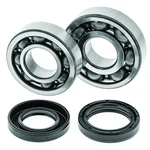 Quadboss For 88-06 Yamaha YFS200 Blaster Crankshaft Bearing & Seal Kit. Fixed Price $109.17.