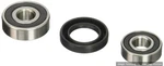 Pivot Works Rear Wheel Bearings PWRWK-Y40-230 2011-2017 Yamaha TTR230 Free Ship. Fixed Price $69.88.