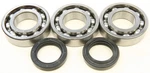 Balls 24-1092 Crankshaft Bearing/seal Kit For Polaris. Fixed Price $54.01.