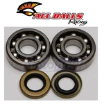 Balls Crank Bearing And Seal Kit For 1998-2008 Ktm 65 Sx Engine. Fixed Price $69.43.