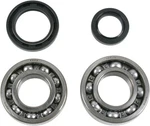 Moose Utility Stroke Precision Crankshaft Bearing And Seal Kit 0924-0001. Fixed Price $90.95.