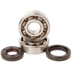 2001-2004 Yamaha Yz 125 Dirt Bike Hot Rods Main Bearing And Seal Kit. Fixed Price $77.28.
