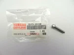 Yamaha 95024-06030-00 Bolt Flange Star Venture Kodiak Big Bear FZR1000 Oem. Fixed Price $24.99.