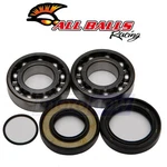 Balls Crank Bearing And Seal Kit For 1985-1986 Yamaha TY350 Engine So. Fixed Price $86.61.