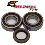 Balls Crank Bearing And Seal Kit For 2008-2010 Polaris Outlaw 525 Ky. Fixed Price $188.15.
