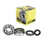 Pro X Crankshaft Bearing And Seal Kit 23.CBS31089. Fixed Price $44.99.