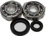 Balls 24-1030 Crank Bearing And Seal Kit. Fixed Price $84.39.
