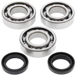 Balls Crank Shaft Bearing Kit #24-1092 Polaris. Fixed Price $84.43.