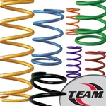 Team 210141-004 Ski-doo Primary Clutch Spring Yellow/black. Fixed Price $43.18.