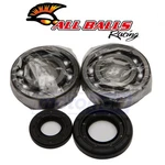 Balls Crank Bearing And Seal Kit For 2001-2019 Yamaha YZ250 Engine Xl. Fixed Price $92.67.