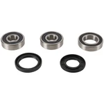 Pivot Works Wheel Bearing Kit PWRWS-K11-000 For Kawasaki Vn 2000 Vulcan 04-05. Fixed Price $65.21.
