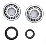 Pro X Crank Bearing And Seal Kit - 23.CBS33000. Fixed Price $68.99.