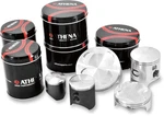 Athena Piston Ring Set S41316119. Fixed Price $47.59.