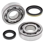 Balls Crank Shaft Bearing Kit For 1995-1999 Suzuki RMX250. Fixed Price $131.12.