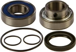 Balls 14-1033 Chain Case Bearing And Seal Kits. Fixed Price $55.10.