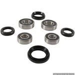 Pivot Works Front Wheel Bearings 08-09 Honda TRX700XX PWFWK-H26-001. Fixed Price $68.43.