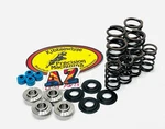 20-23 Kawasaki Kibblewhite Race Titanium Valves Springs Seals Kit. Fixed Price $189.98.